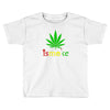 is smoke Toddler T-shirt