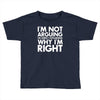 i'm not arguing i'm simply explaining why i'm right Toddler T-shirt