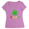 is smoke Women's Triblend Scoop T-shirt