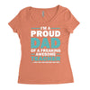 i'm a proud dad of a freaking awesome teacher. (yes she bought me this Women's Triblend Scoop T-shirt