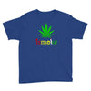 is smoke Youth Tee