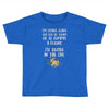 ice cream or a felony Toddler T-shirt
