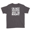 i'm not arguing i'm simply explaining why i'm right Youth Tee