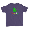 is smoke Youth Tee