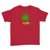 is smoke Youth Tee