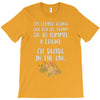 ice cream or a felony T-Shirt