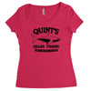 jaws cool shark Women's Triblend Scoop T-shirt