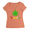 is smoke Women's Triblend Scoop T-shirt