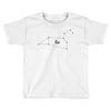 Leo Star Toddler T-shirt