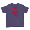 lake hair don't care Youth Tee