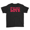 all you need is love Youth Tee