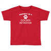 property of a golden retriever Toddler T-shirt