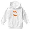 space fox Youth Hoodie