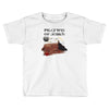 the pilgrimage Toddler T-shirt