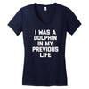 i was a dolphin in my previous life Women's V-Neck T-Shirt