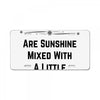 November Girls License Plate