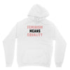 Feminism Means Equality Unisex Hoodie