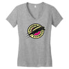 nekobus express Women's V-Neck T-Shirt