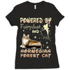 norwegian forest cat Ladies Fitted T-Shirt