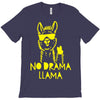 no drama llama (2) T-Shirt