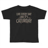 live every day like it's caturday Toddler T-shirt
