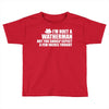 weatherman Toddler T-shirt