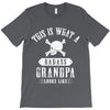 This Is What A Bad Ass Grandpa Looks Like T-Shirt