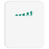 evolution of turtles Mousepad
