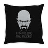walt t Throw Pillow