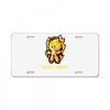 super sonic License Plate