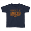 litchfiel Toddler T-shirt