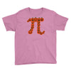 pumpkin pi Youth Tee