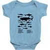 shark chart Baby Onesie