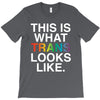 This Is What Trans Looks Like T-Shirt
