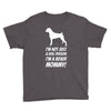 not just a dog person i'm a boxer mommy! Youth Tee