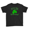 kiss me i't my birthday pi Youth Tee