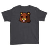 bear meme Youth Tee