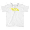 soul train retro 60s 70s 80s music party present tee new Toddler T-shirt