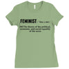 Feminist Noun Ladies Fitted T-Shirt