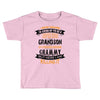 Super Cool Grandson Of A Freaking Awesome Grammy Toddler T-shirt