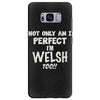 perfect welsh Samsung Galaxy S8 Plus