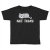 Cat Says Not Today Toddler T-shirt