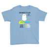 wandstock Youth Tee