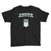 irish beathalyzer Youth Tee