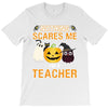 nothing scares me i'm a teacher T-Shirt