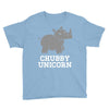 chubby unicorn rhino Youth Tee