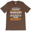 I Never Dreamed I'd Grow Up To Be A Super Cool Grandfather Of Freaking T-Shirt