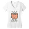 my cat is on the internet Women's V-Neck T-Shirt