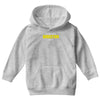 i'm the director Youth Hoodie