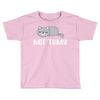 Cat Says Not Today Toddler T-shirt
